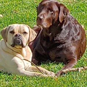 Meet your Posher, Karen